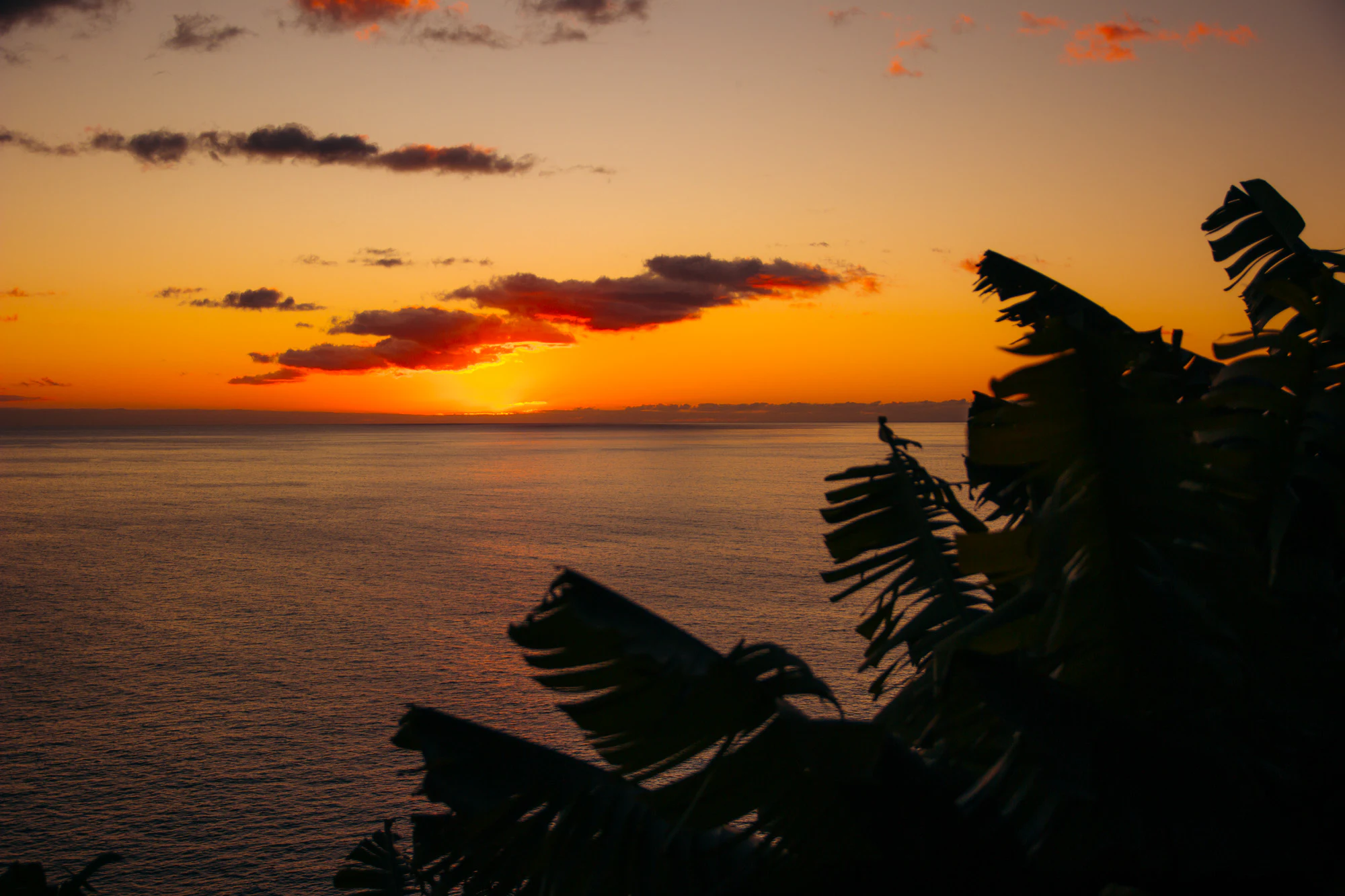 Madeira 2023, photo 05