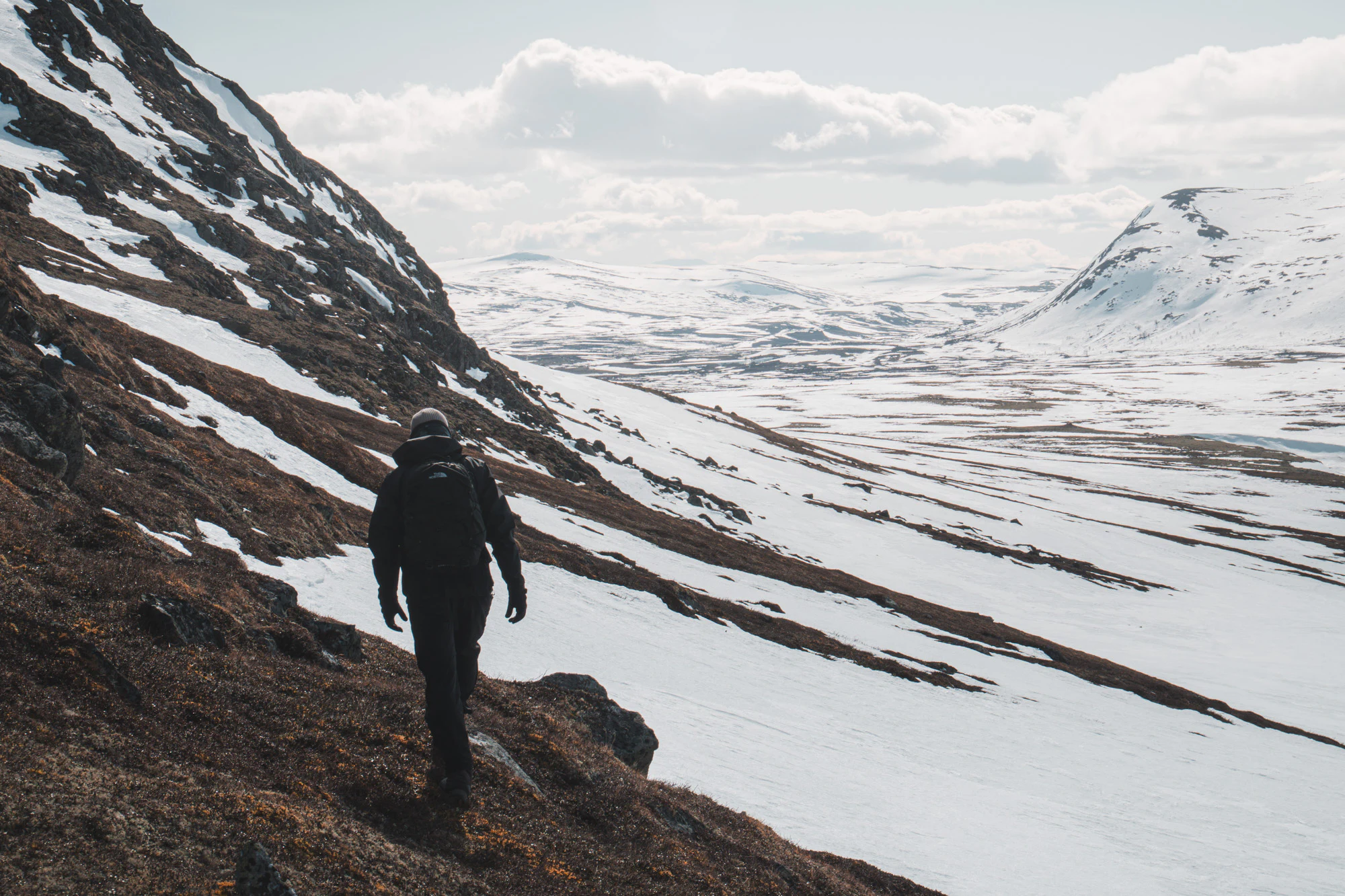 Dovrefjell 2025, photo 08