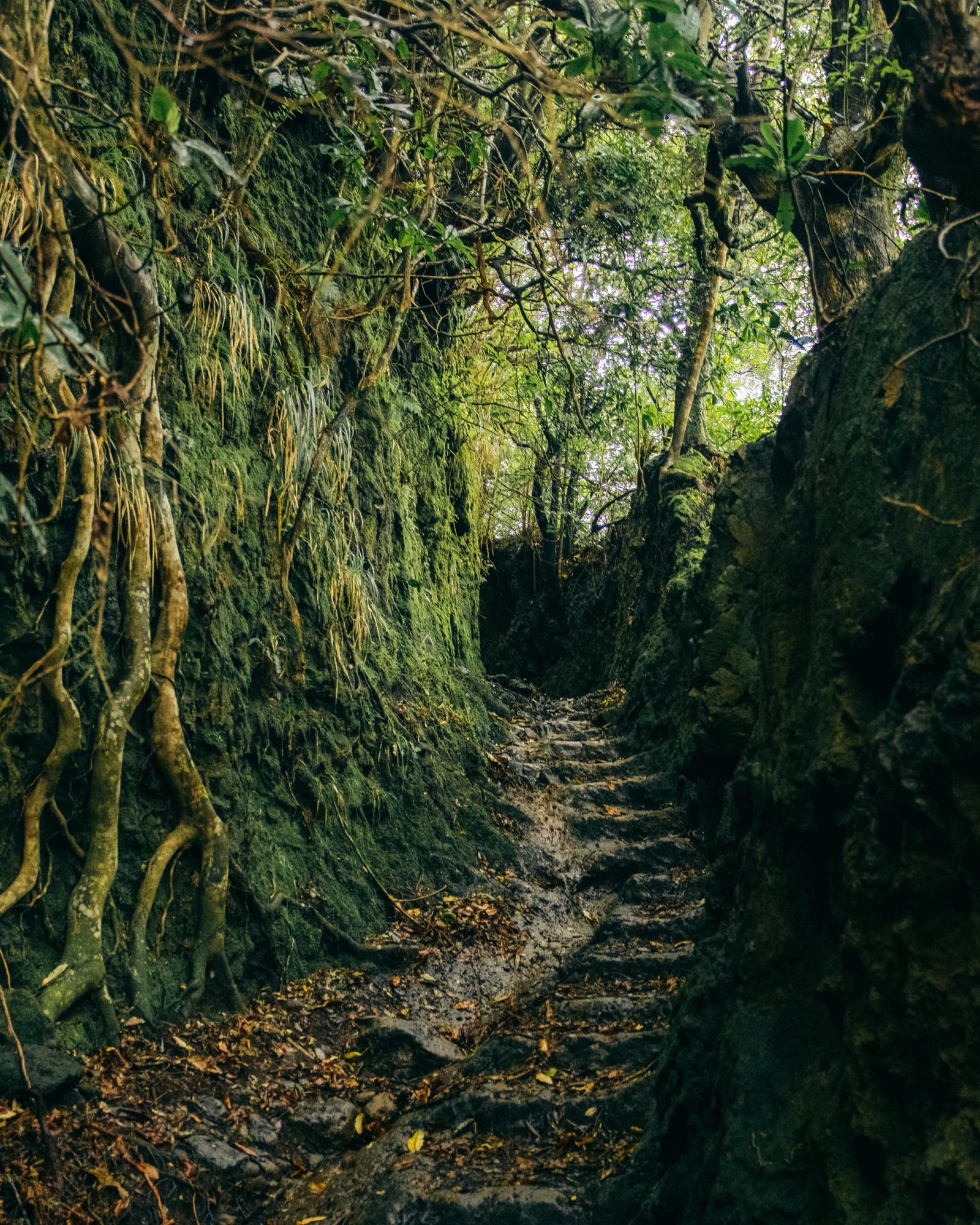 Madeira 2023, photo 10