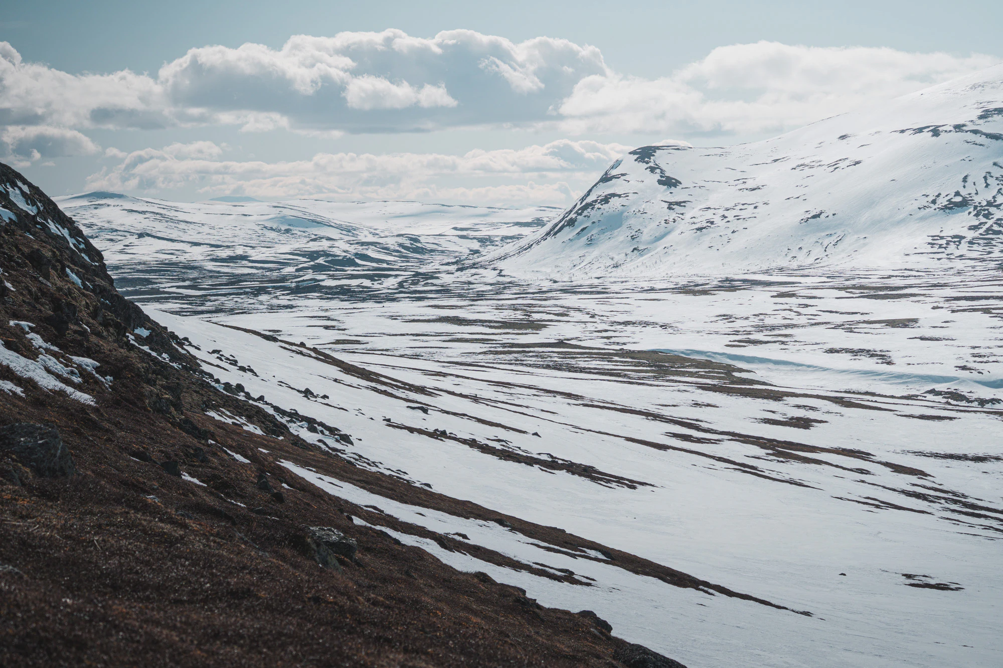 Dovrefjell 2025, photo 10