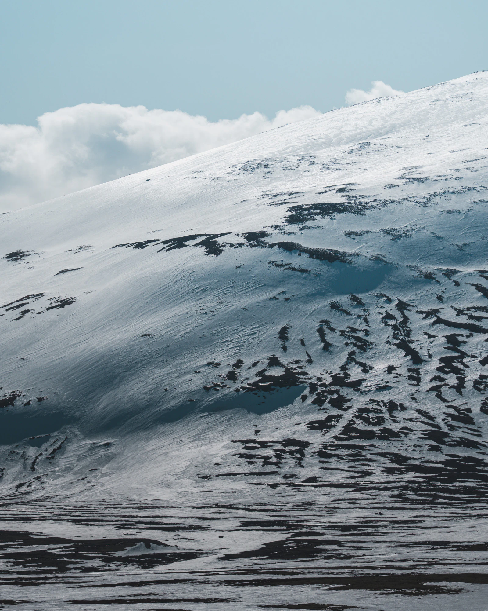 Dovrefjell 2025, photo 11