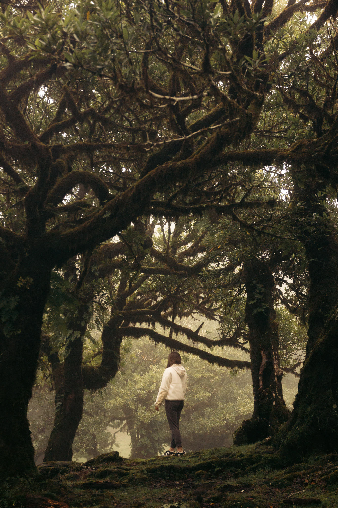 Madeira 2023, photo 12