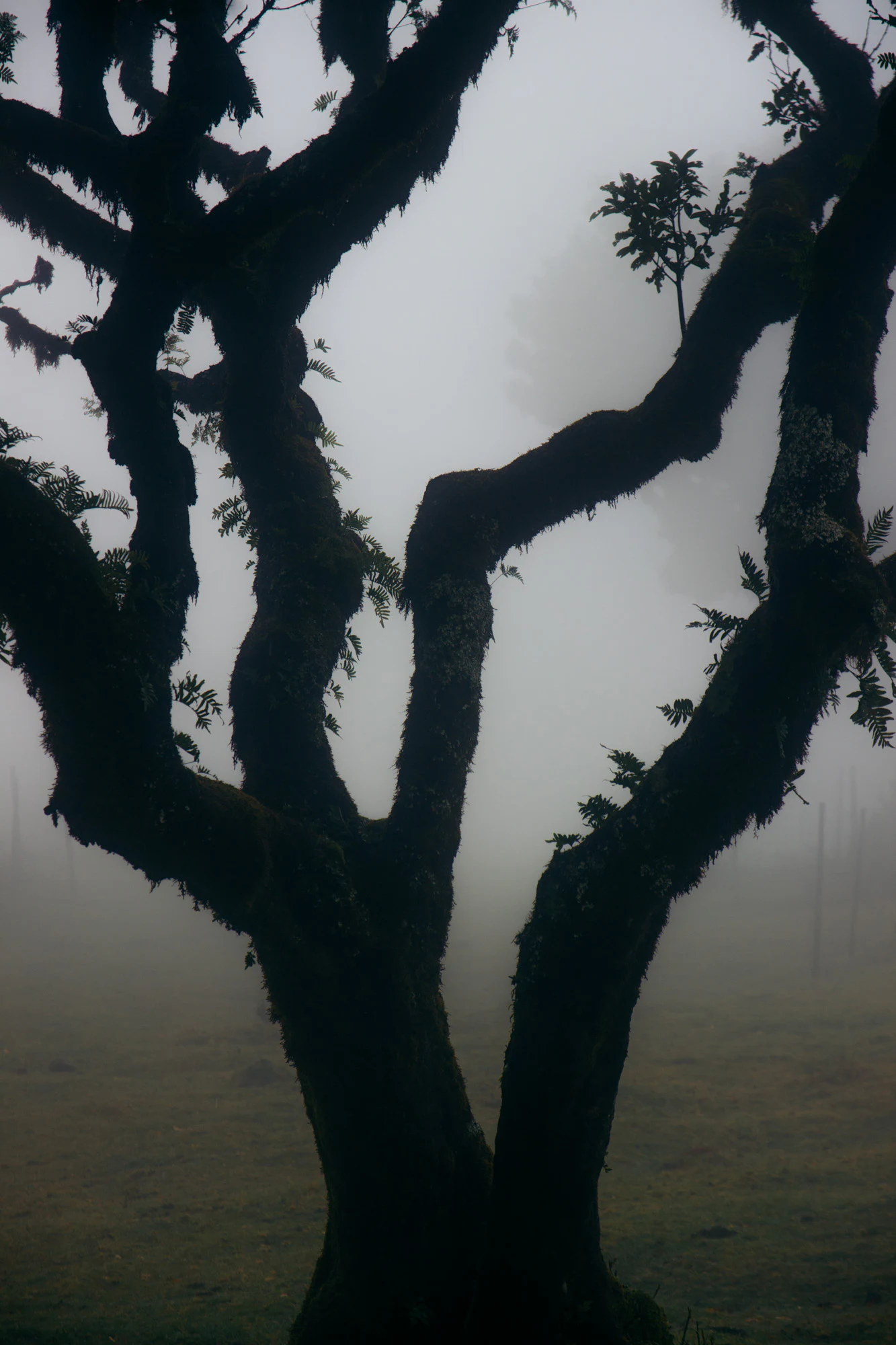 Madeira 2023, photo 13