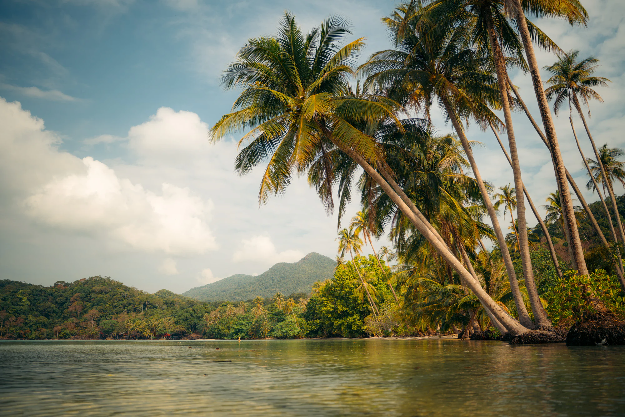 Thailand South 2026, photo 14
