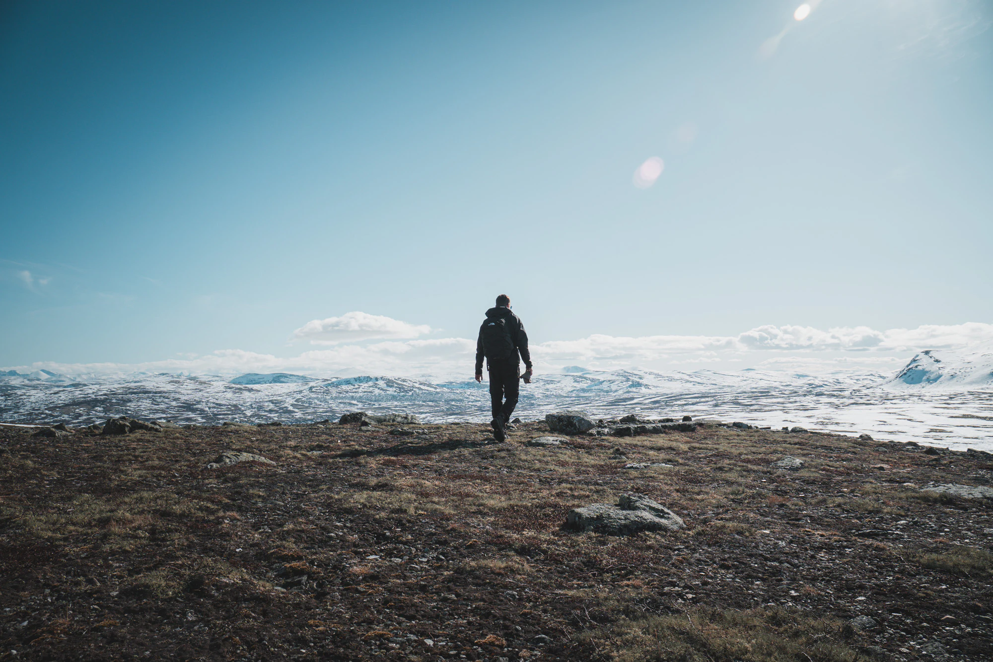 Dovrefjell 2025, photo 15