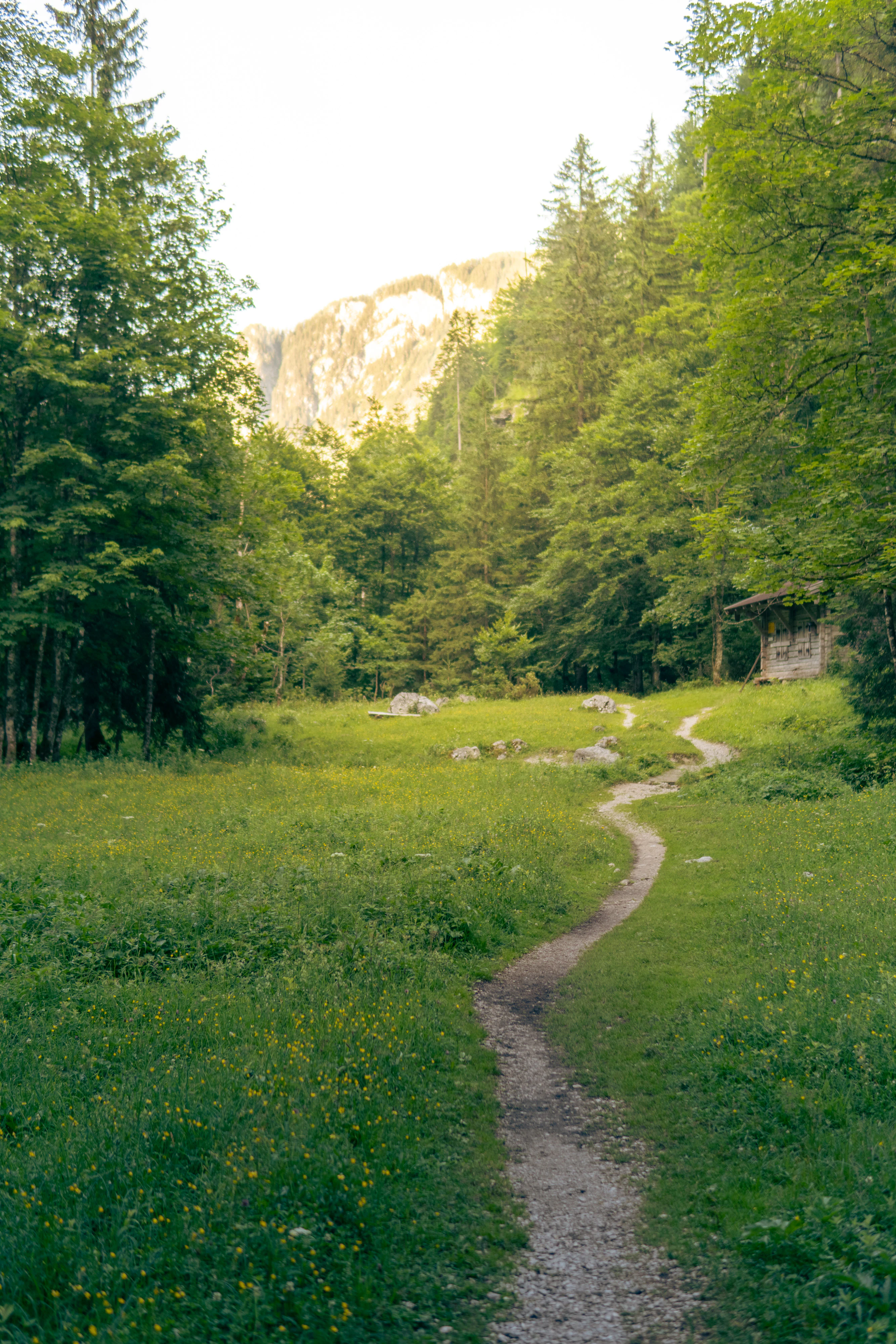 Berchtesgaden National Park 2023, photo 15