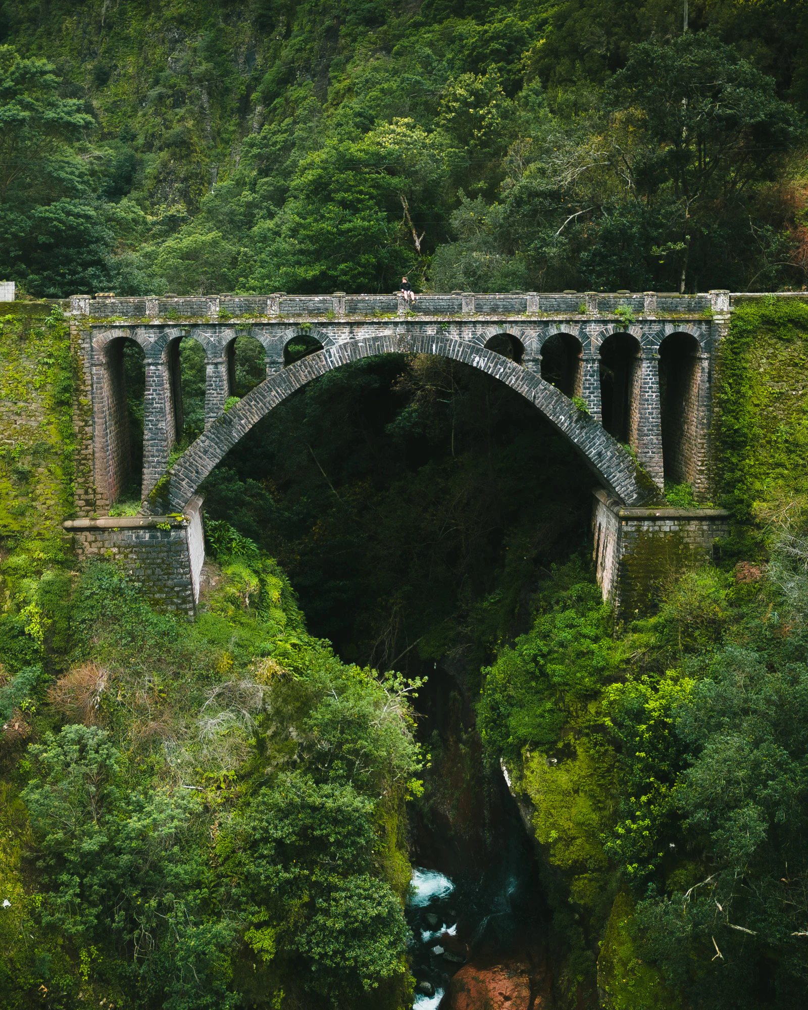 Madeira 2023, photo 16