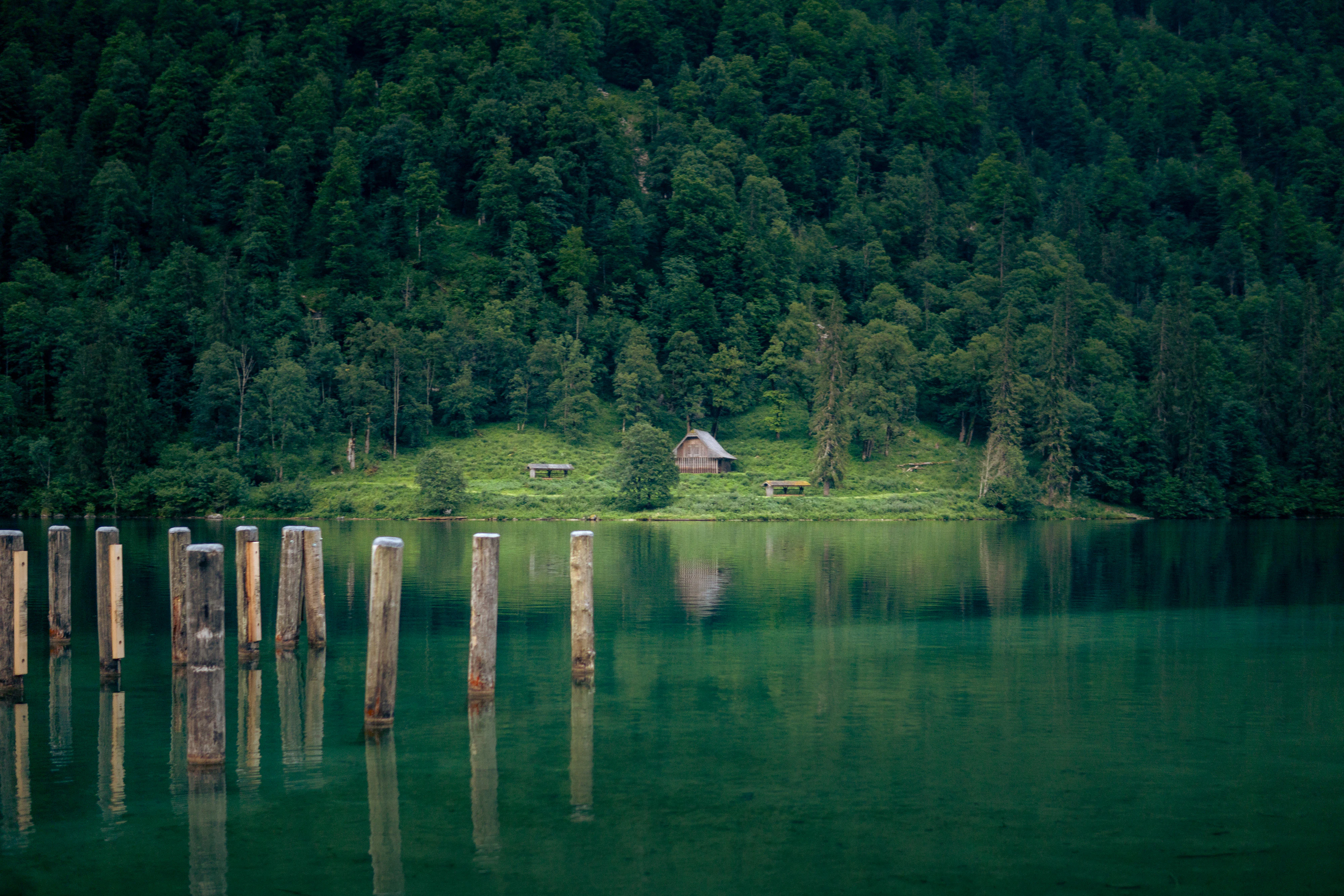 Berchtesgaden National Park 2023, photo 17