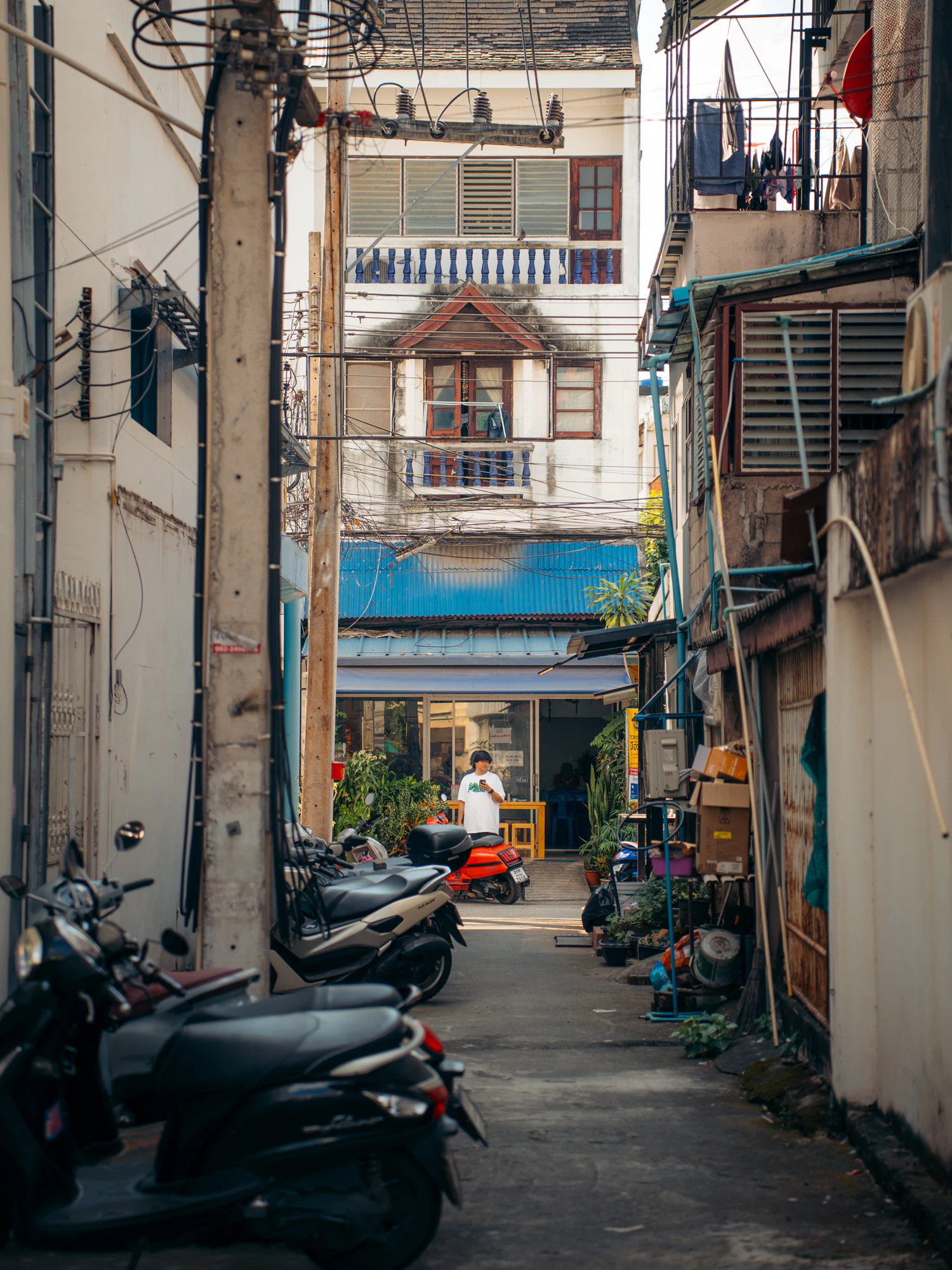 Thailand North 2026, photo 17