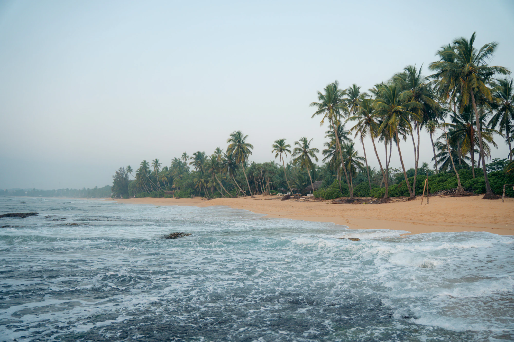 Sri Lanka 2025, photo 17