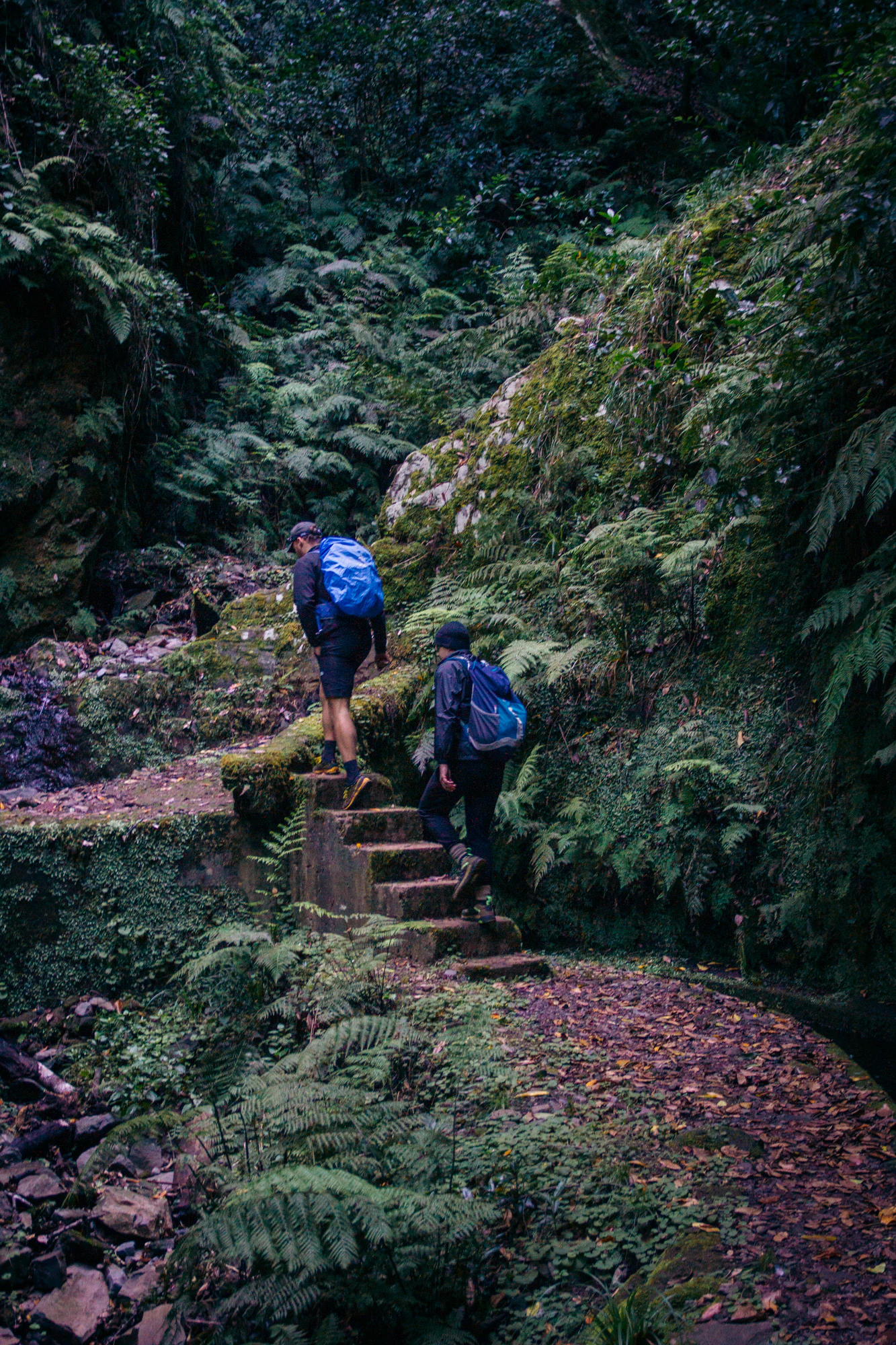 Madeira 2023, photo 18