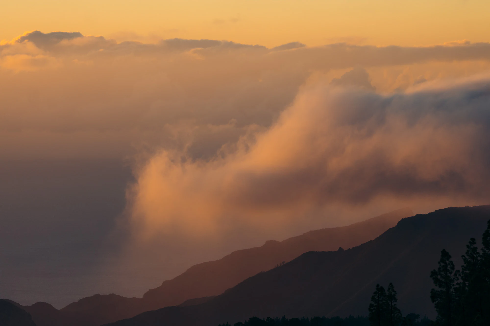 Tenerife 2024, photo 24