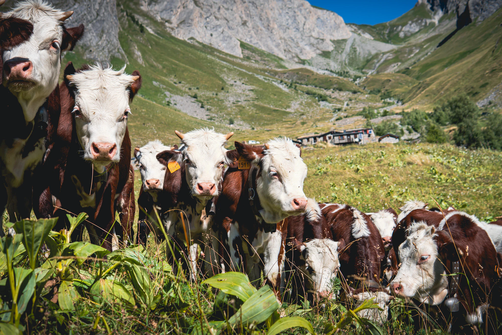 Italian Alps 2023, photo 25