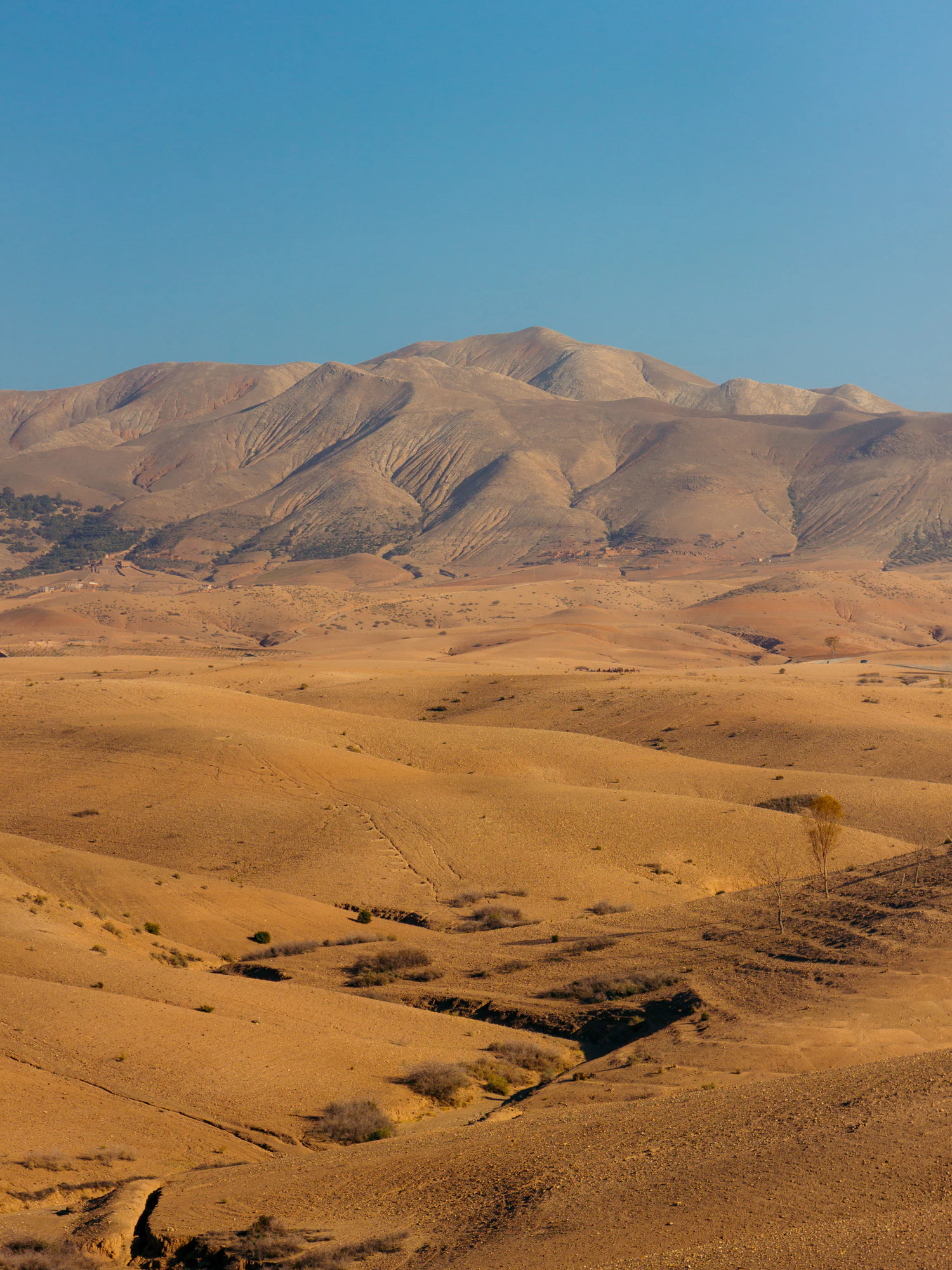 Morocco 2023, photo 26
