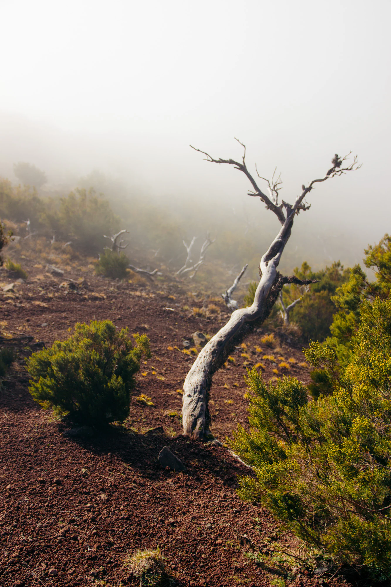 Madeira 2023, photo 27