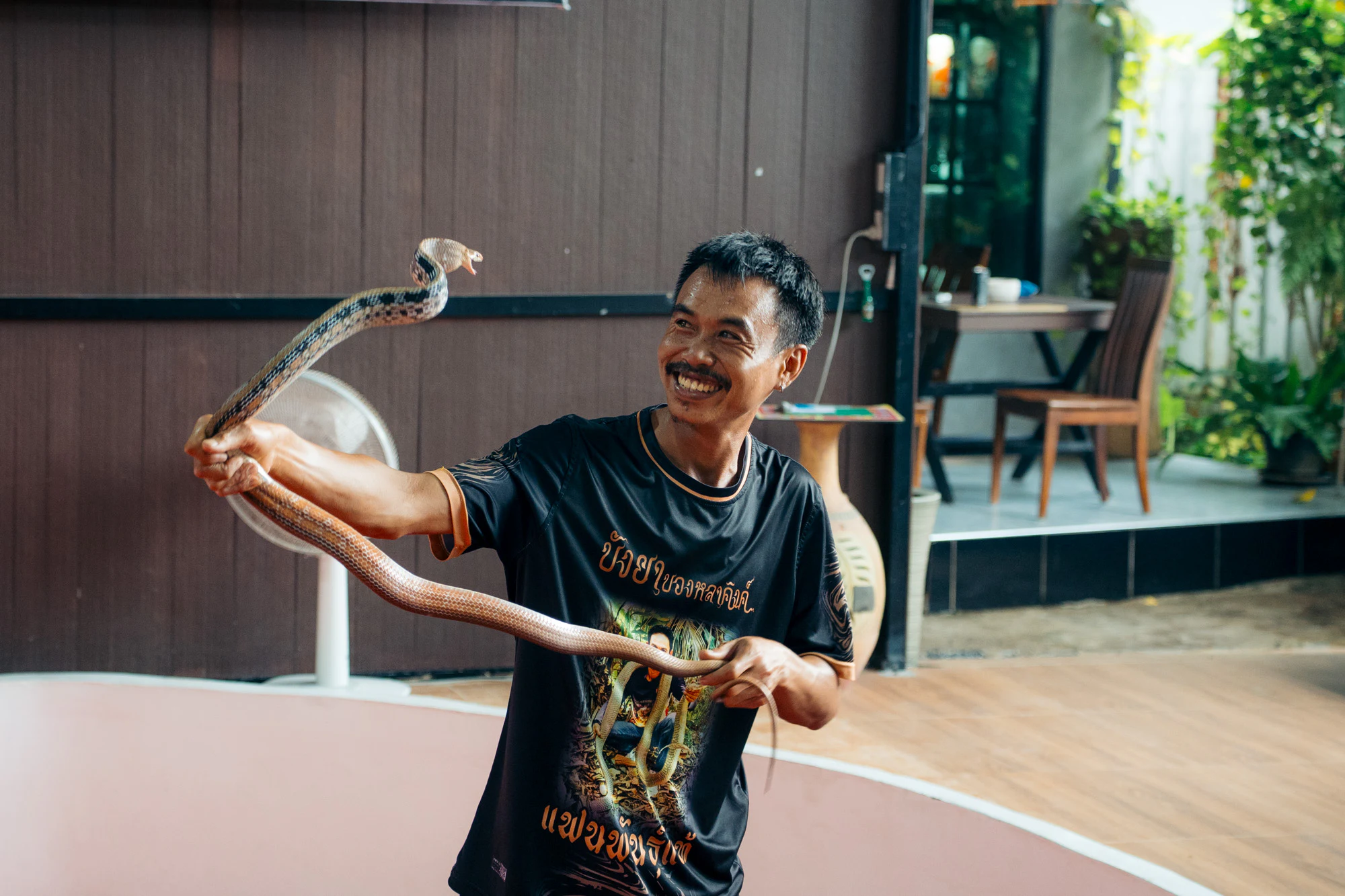 Thailand South 2026, photo 28