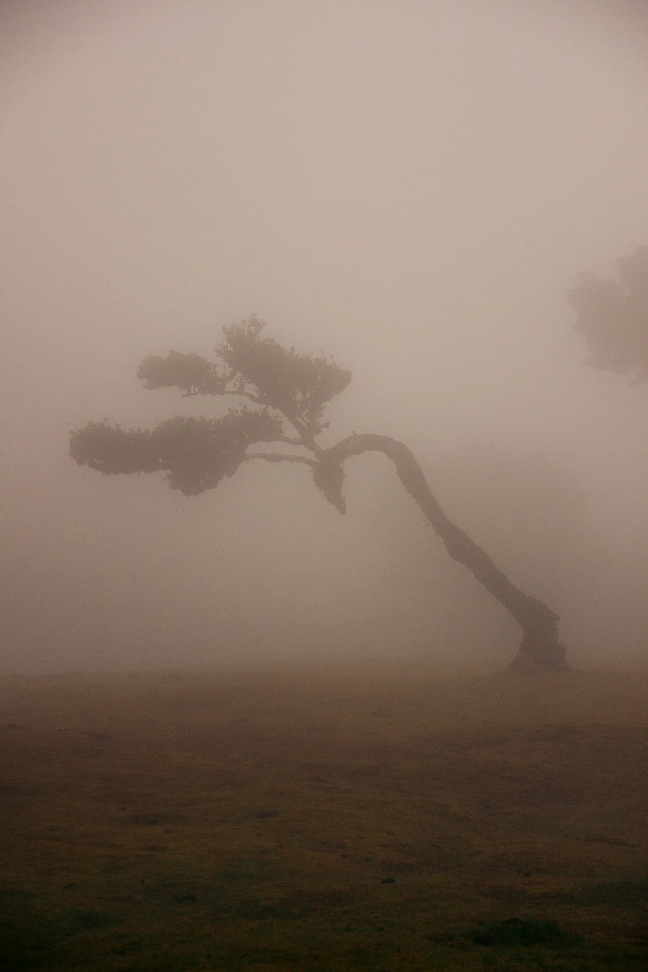 Madeira 2023, photo 33