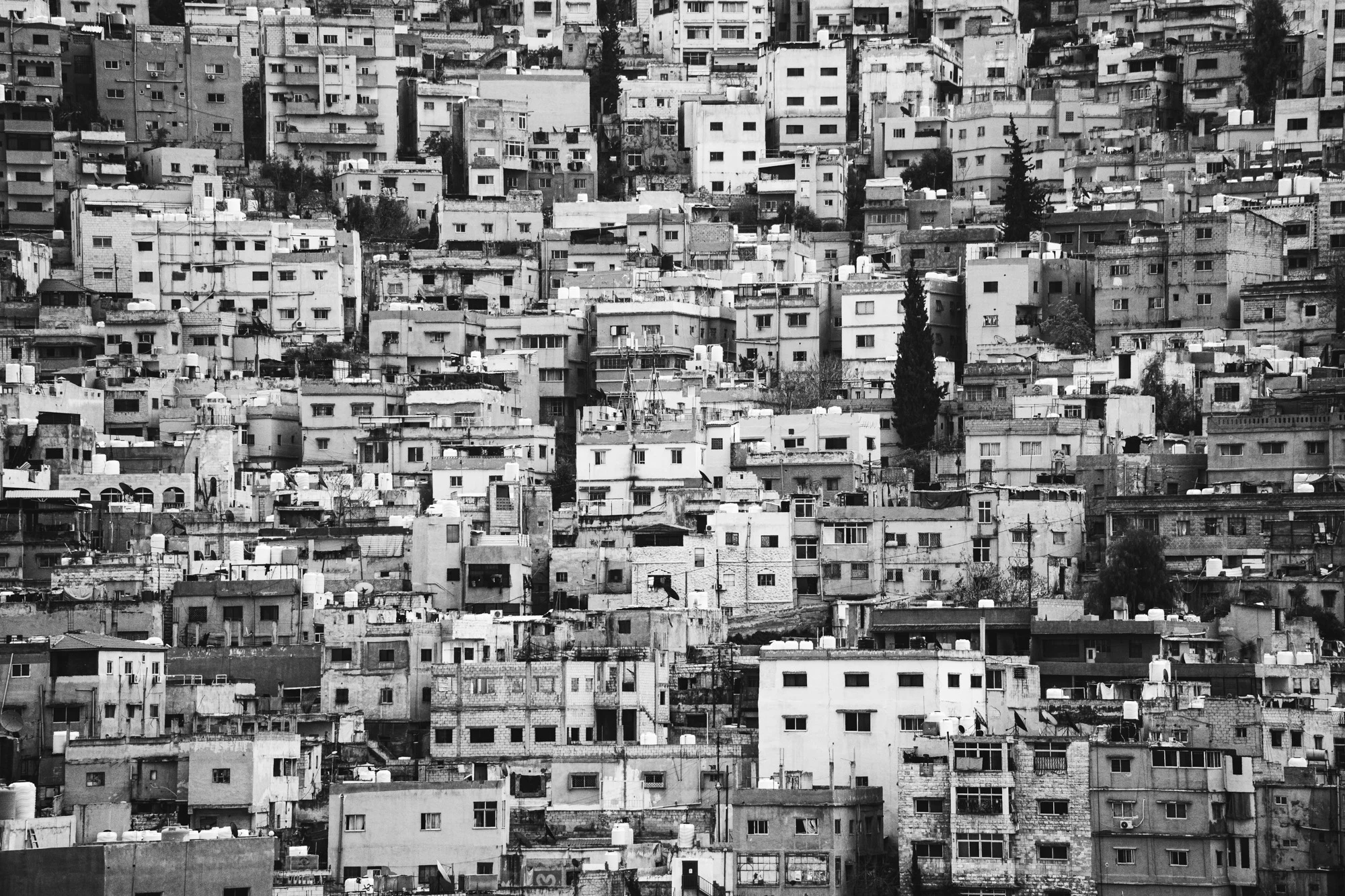 Jordan 2024, photo 41